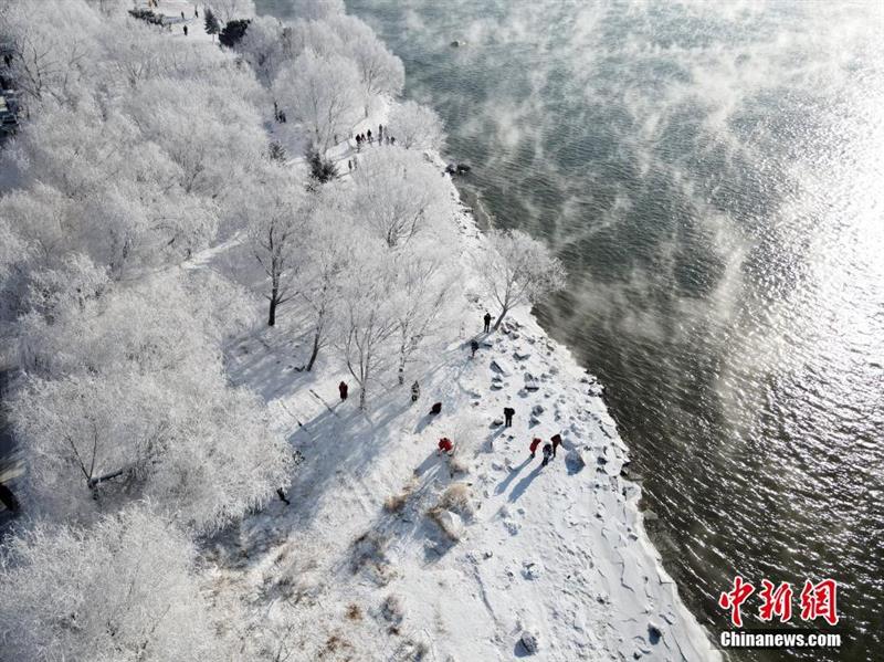 航拍松花江岸霧凇：玉樹(shù)瓊枝猶若仙境