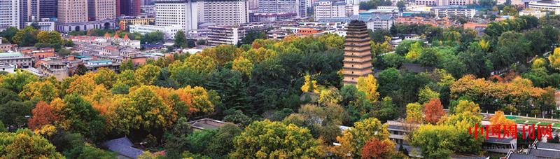 攝圖網_500723124_西安古城小雁塔秋色全景（企業商用）.jpg