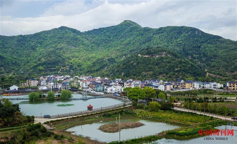 稿13-寧波市泗洲頭鎮墩岙村.png
