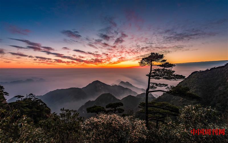 攝圖網_500596949_三清山日出云海自然美景(企業商用).jpg