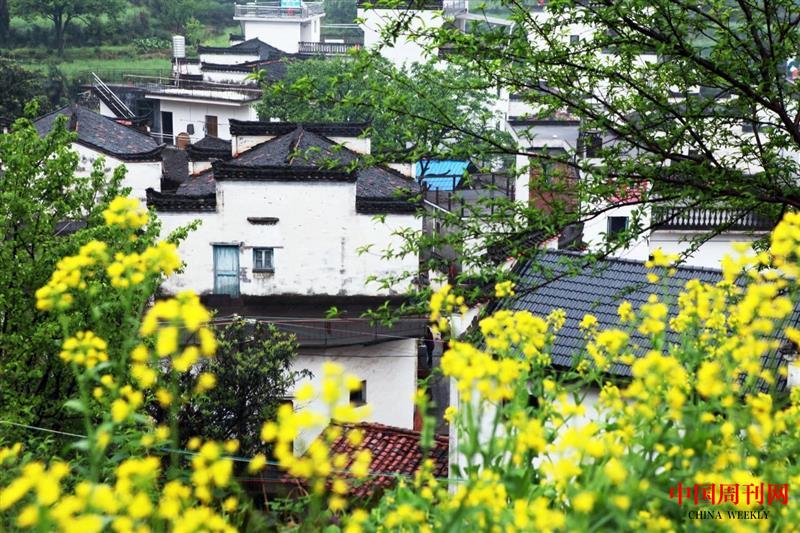 微信圖片_20250514141305.jpg